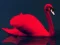 بازی Love Birds Puzzle آنلاین