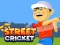 بازی Street Cricket آنلاین
