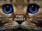 بازی Find the Ghost Cat آنلاین