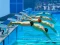 بازی Swimming Pool Race آنلاین