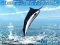 بازی Azure Sea Fishing آنلاین