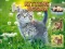 بازی Kittens Jigsaw آنلاین
