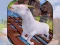 بازی Angry Goat Wild Animal Rampage آنلاین