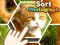 بازی Sort Photograph آنلاین