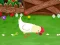 بازی Stupid Chicken آنلاین
