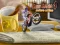 بازی Bike Mania 4 Micro Office آنلاین