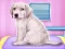 بازی Labrador at the doctor salon آنلاین