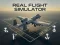 بازی Real Flight Simulator آنلاین