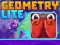 بازی Geometry Lite آنلاین