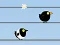 بازی Gone with the Birds آنلاین