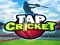 بازی Tap Cricket آنلاین