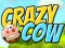 بازی Crazy Cow آنلاین