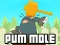 بازی Pum-Mole آنلاین
