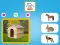 بازی Who Lives Here آنلاین