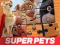 بازی DC League of Super Pets Jigsaw Puzzle آنلاین