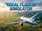 بازی Real Flight Simulator آنلاین