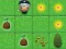 بازی Magic Seeds آنلاین