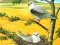 بازی Birds Of Prey Puzzle آنلاین