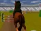 بازی Jumping Horse 3d آنلاین