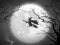 بازی The Night Of the Witches Jigsaw آنلاین