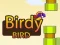 بازی Birdy Bird آنلاین