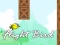 بازی Flight Bird آنلاین