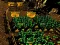 بازی Pixel Farm آنلاین