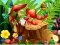 بازی Hidden Objects Insects آنلاین