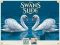 بازی Swans Slide آنلاین