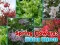 بازی Spring Flowers: Hidden Objects آنلاین