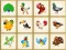 بازی Birds Board Puzzles آنلاین