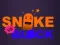 بازی Snake vs Blocks آنلاین
