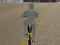 بازی Bicycle Simulator آنلاین