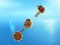 بازی Crazy Machines آنلاین