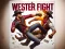بازی Western Fight آنلاین