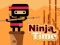 بازی Ninja Time آنلاین