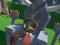 بازی Lazy Orcs: Arena آنلاین