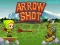بازی Arrow Shoot آنلاین