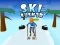 بازی Ski Rush 3d آنلاین