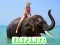 بازی Elephants Puzzle آنلاین