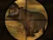 بازی Classical Hippo Hunting آنلاین