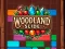 بازی Woodland Slide آنلاین
