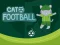 بازی Cat Football آنلاین