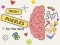 بازی Brain Puzzles Quests آنلاین