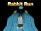 بازی Rabbit Run 3D آنلاین