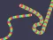 بازی Slither Classic آنلاین