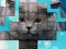 بازی PicPu Cat آنلاین