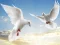 بازی Flying Birds آنلاین
