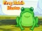 بازی Frog Match Master آنلاین