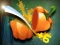 بازی Veggie Slicer آنلاین